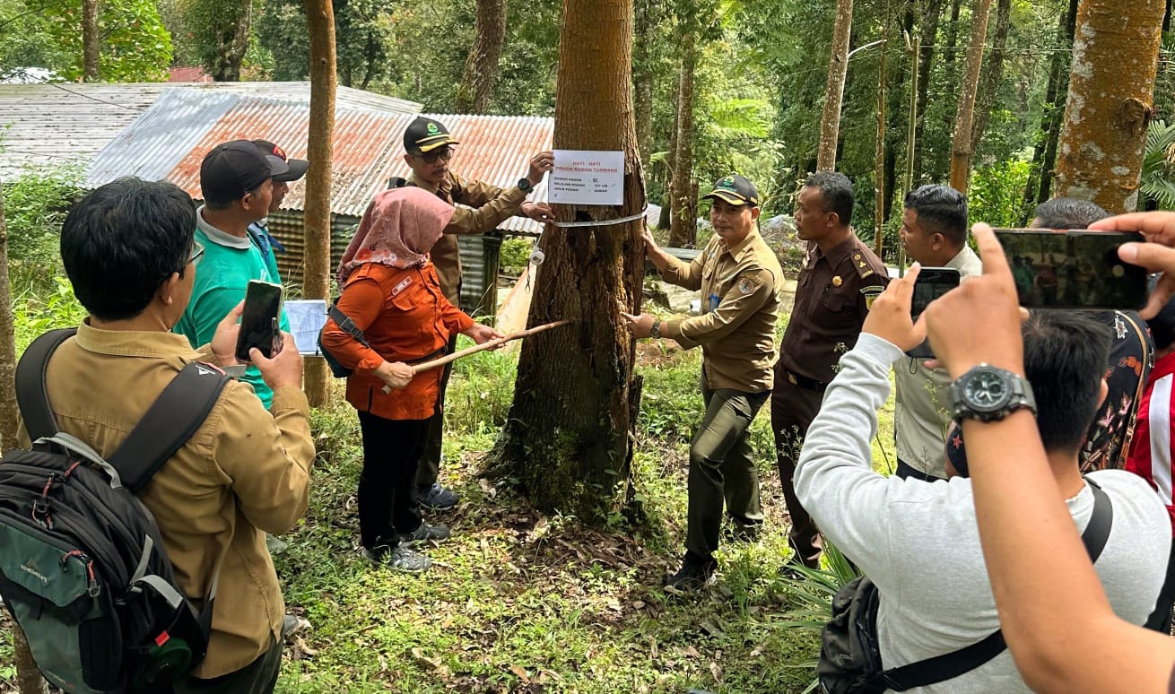 Pengecekan kondisi pohon di kawasan Taman Saraswati dan Bumi Perkemahan (Buper) Segorogunung, Ngargoyoso, Karanganyar. (Rudi Hartono/Radar Solo)
