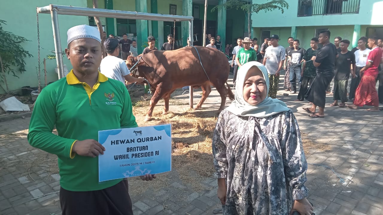 Sapi kurban sumbangan Wapres Gibran akan disembelih di Pondok Pesantren (Ponpes) Kholifatullah Singo Ludiro di Dusun Mojo, Desa Laban, Kecamatan Mojolaban, Sukoharjo, Jumat (6/6).