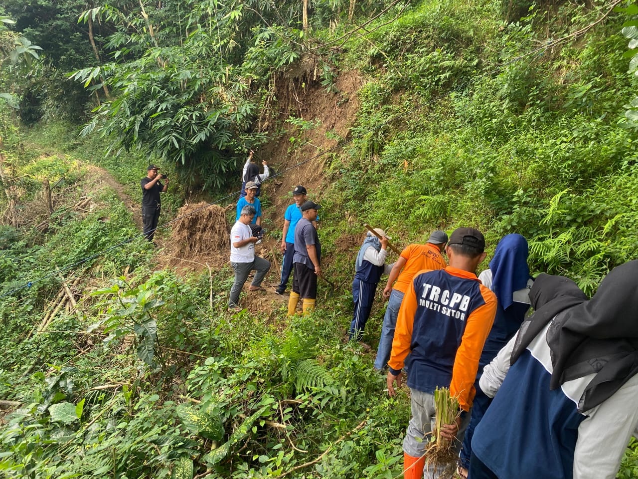 Penanaman rumput vetiver di wilayah rawan longsor di Dusun Tileng RT 01 RW 02, Desa Sanggang, Kecamatan Bulu, Minggu (15/6).