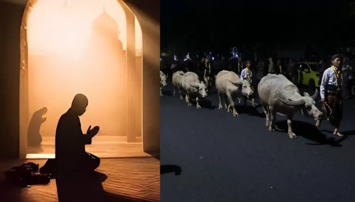 Ilustrasi malam 1 Muharram dianjurkan untuk memperbanyak ibadah kepada Allah SWT (kiri). Kerbau atau kebo bule ikut siarak dalam Kirab Pusaka Malam 1 Suro yang digelar Keraton Kasunanan Surakarta.