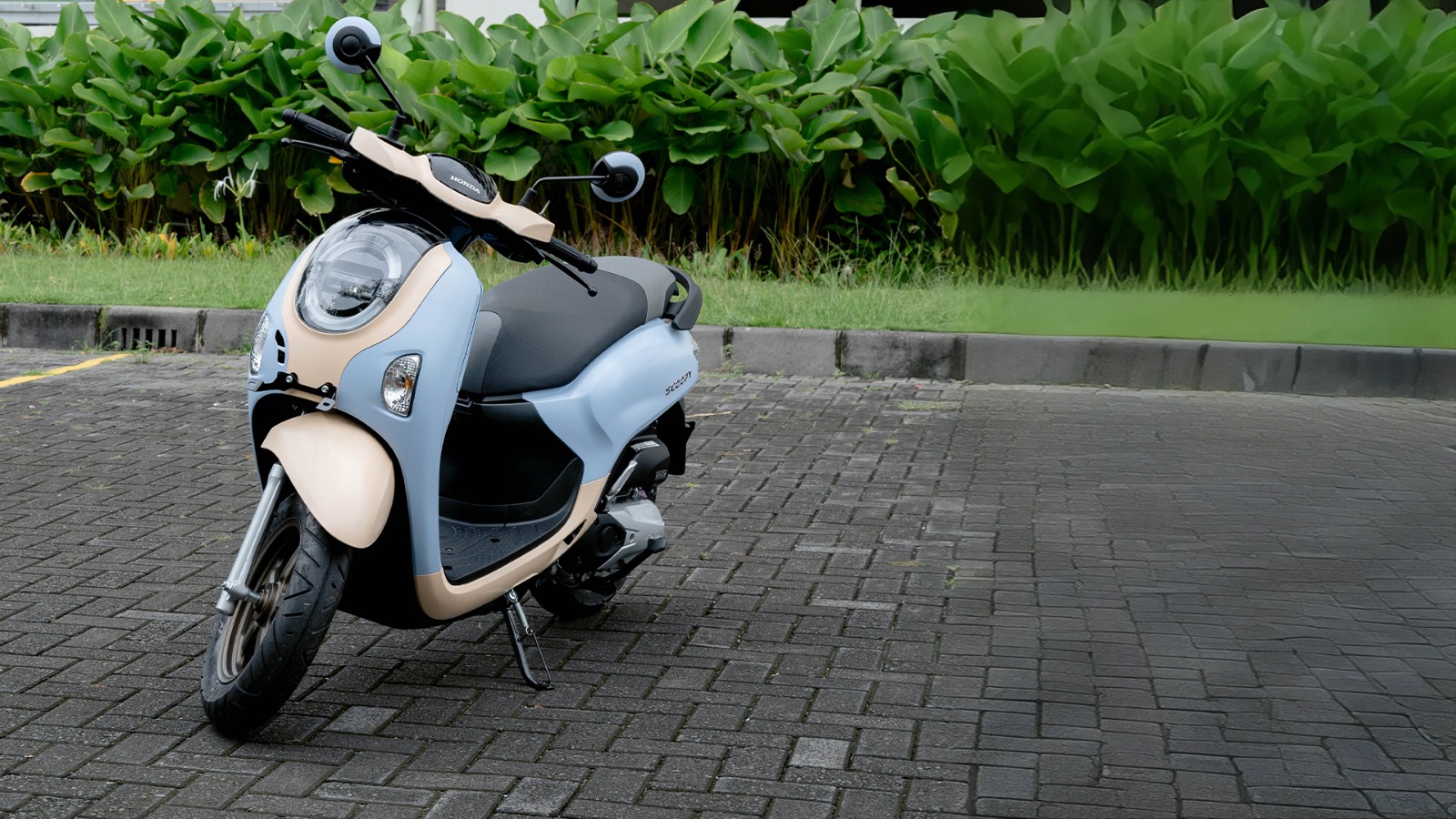 Honda Scoopy Color Lab Cottonsky.