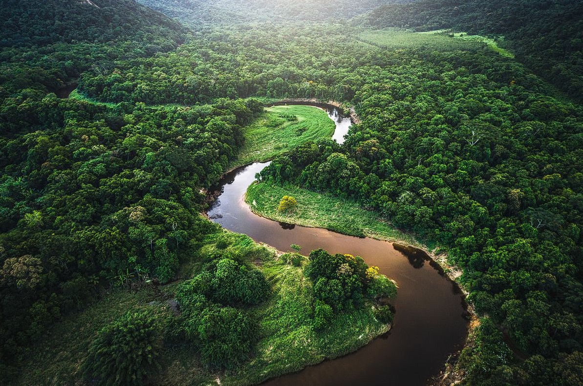 Netizen Indonesia balas serbuan Brasil ke Gunung Rinjani dengan beri rating 1 bintang ke Hutan Amazon. Perang review pun pecah
