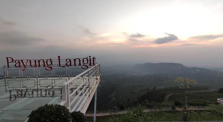 wisatawan sedang berkunjung ke Payung Langit Tea Resto & Camp