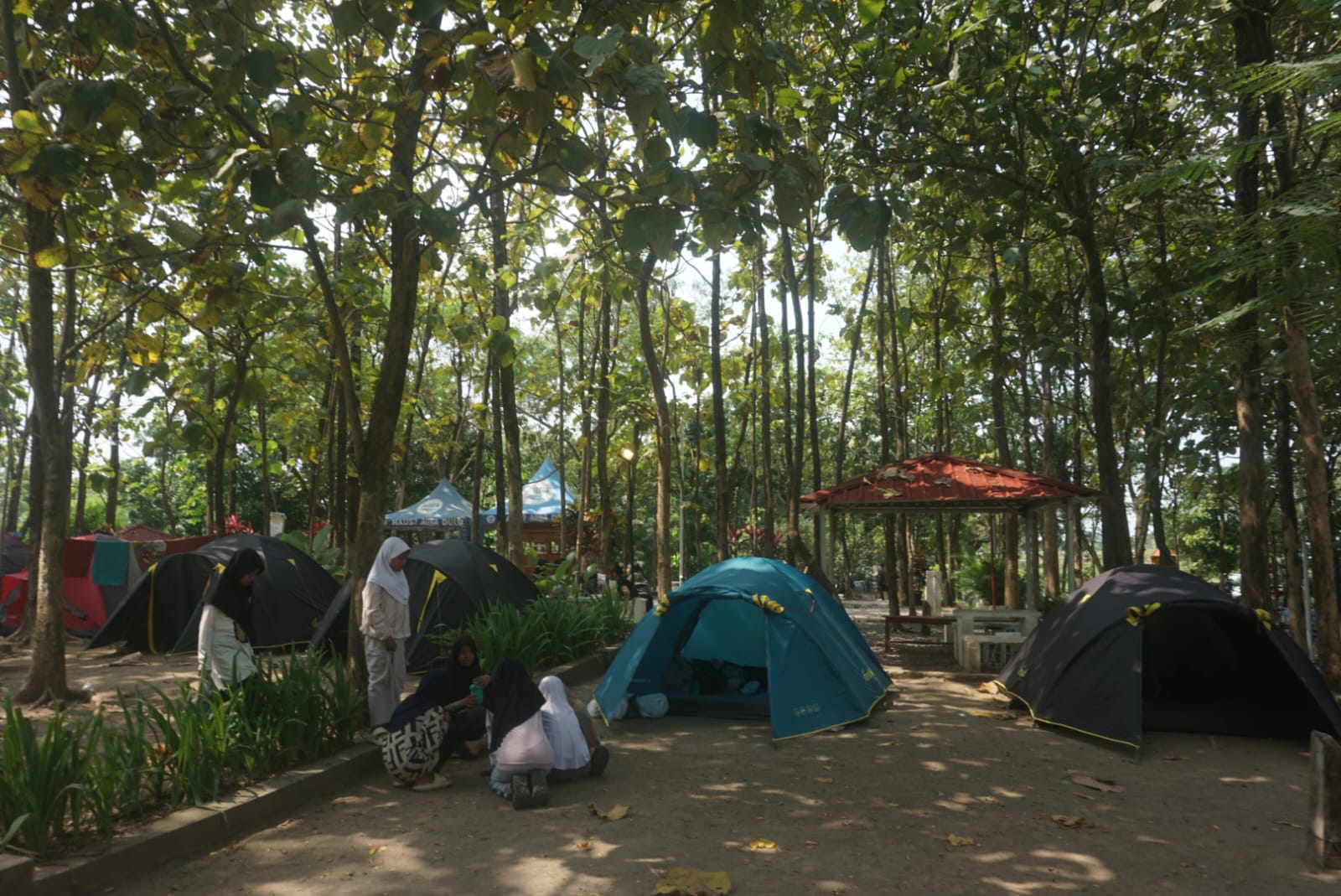 Berkemah di Umbul Besuki dengan suasana rindang dari pohon jati di Desa Ponggok, Kecamatan Polanharjo, Klaten. (Angga Purenda/Radar Solo)