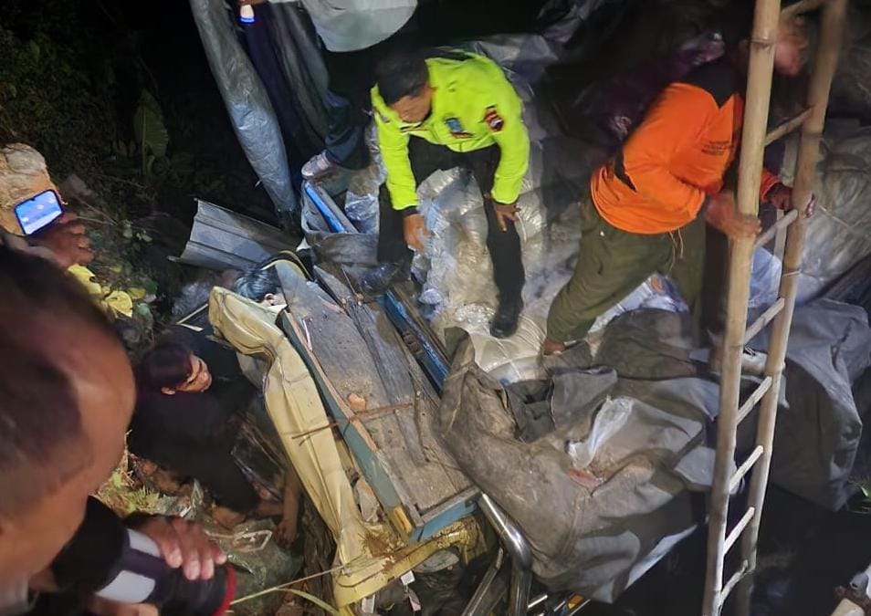 Kondisi truk yang kecelakaan di Jalan Raya Purwodadi-Solo, tepatnya di Desa Selokaton, Kecamatan Gondangrejo, Karanganyar, Selasa dini hari (1/7/2025). (Rudi Hartono/Radar Solo)