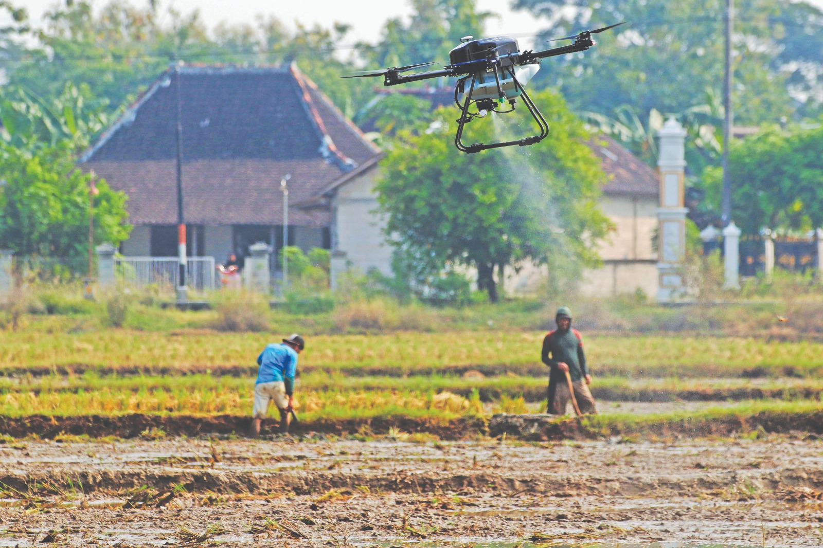Ilustrasi uji coba drone sprayer di Kelurahan Bulakrejo, Sukoharjo, belum lama ini.