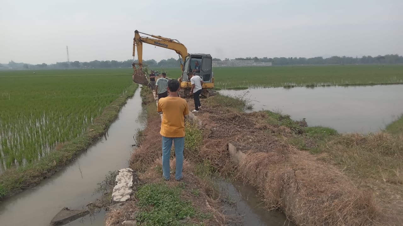 Alat berat diterjunkan untuk mengeruk saluran irigasi di Desa Kedungwinong, Kecamatan Nguter, Sukoharjo, Sabtu (12/7).