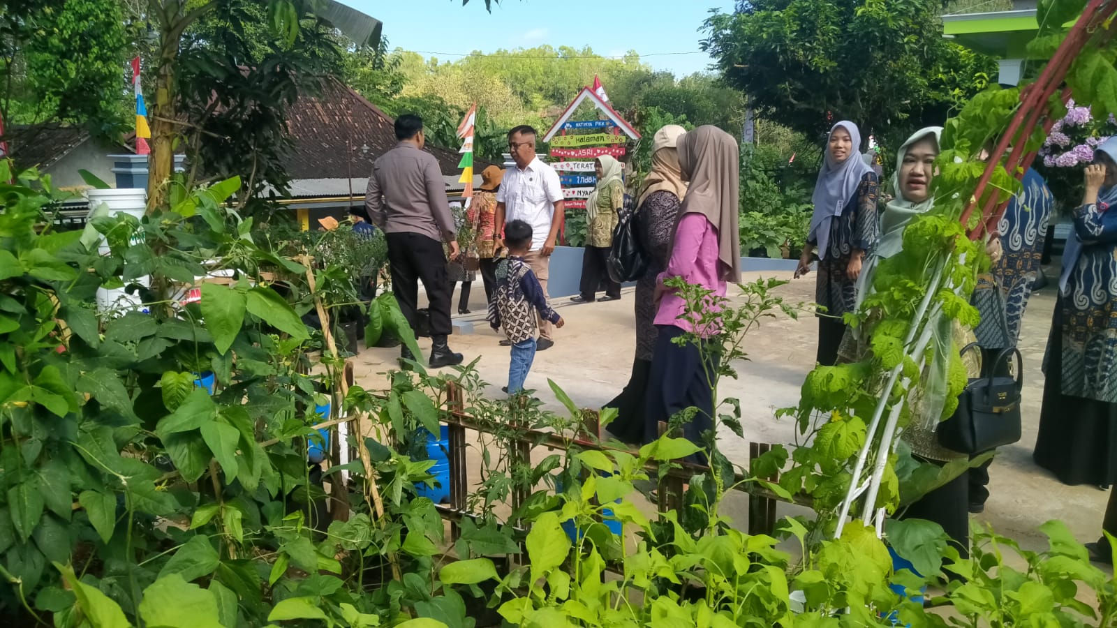 Pemanfaatan lahan di Dusun Tlahab Desa Ketos Kecamatan Paranggupito.