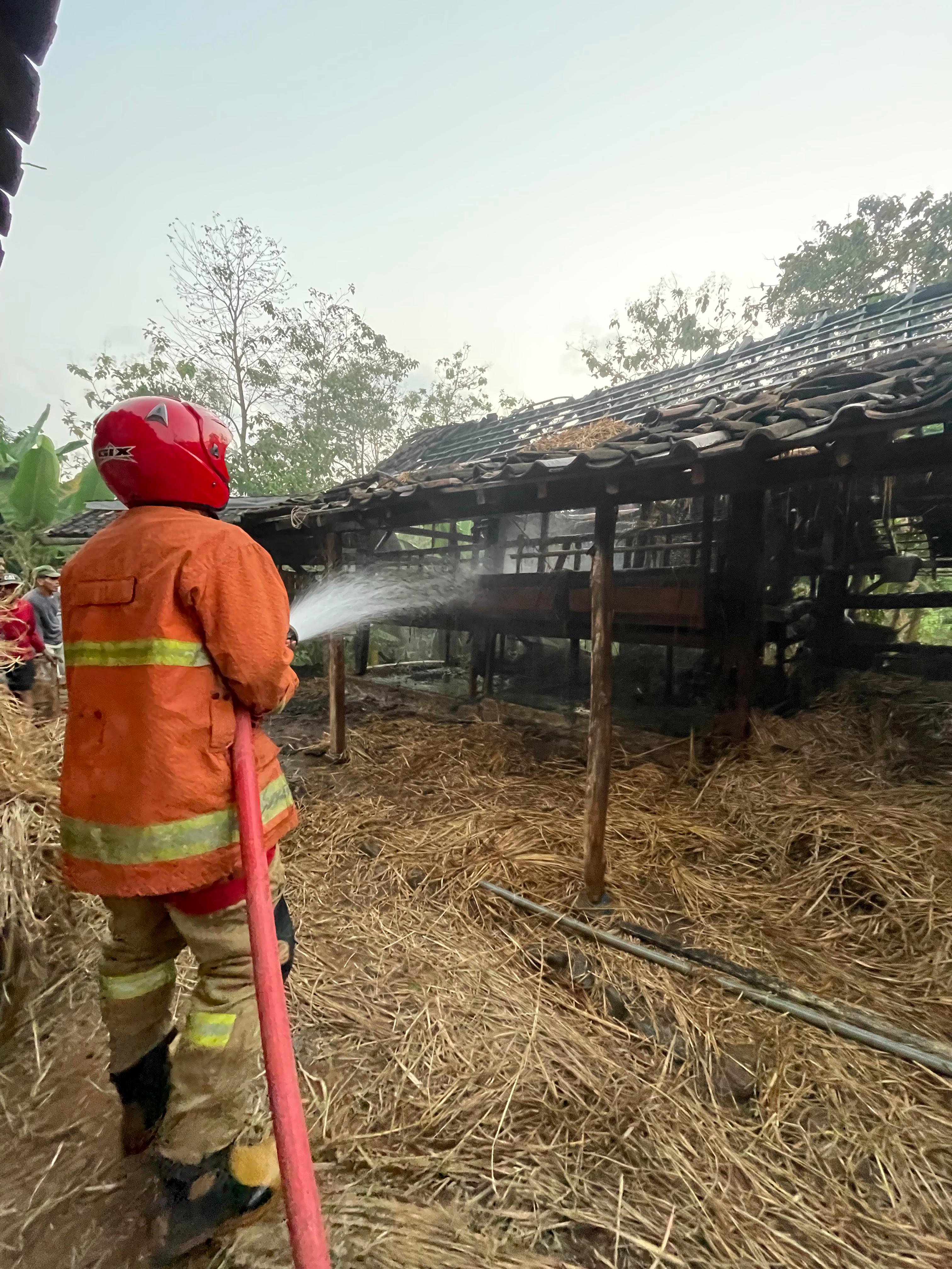 Damkar Wonogiri padamkan api di kandang ternak Dusun Ceper, Desa Gemawang, Kecamatan Ngadirojo, Wonogiri, Jumat (25/7/2025) sore.