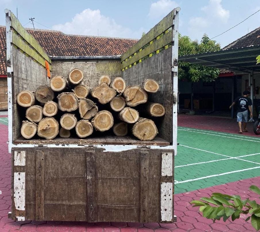 Polres Sragen Amankan Dua Pelaku dan Puluhan Kayu Curian