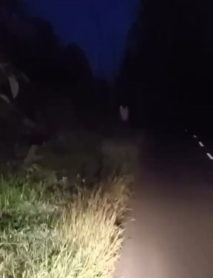Tangkapan layar video yang disebut-sebut merekam keberadaan makhluk astral di tepi jalan kawasan Pracimantoro, Wonogiri.