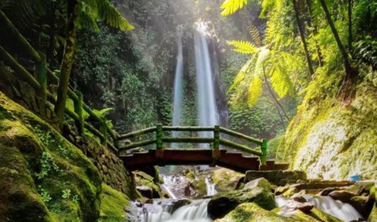 Air Terjun Jumog Karanganyar jadi surga tersembunyi di Gunung Lawu.