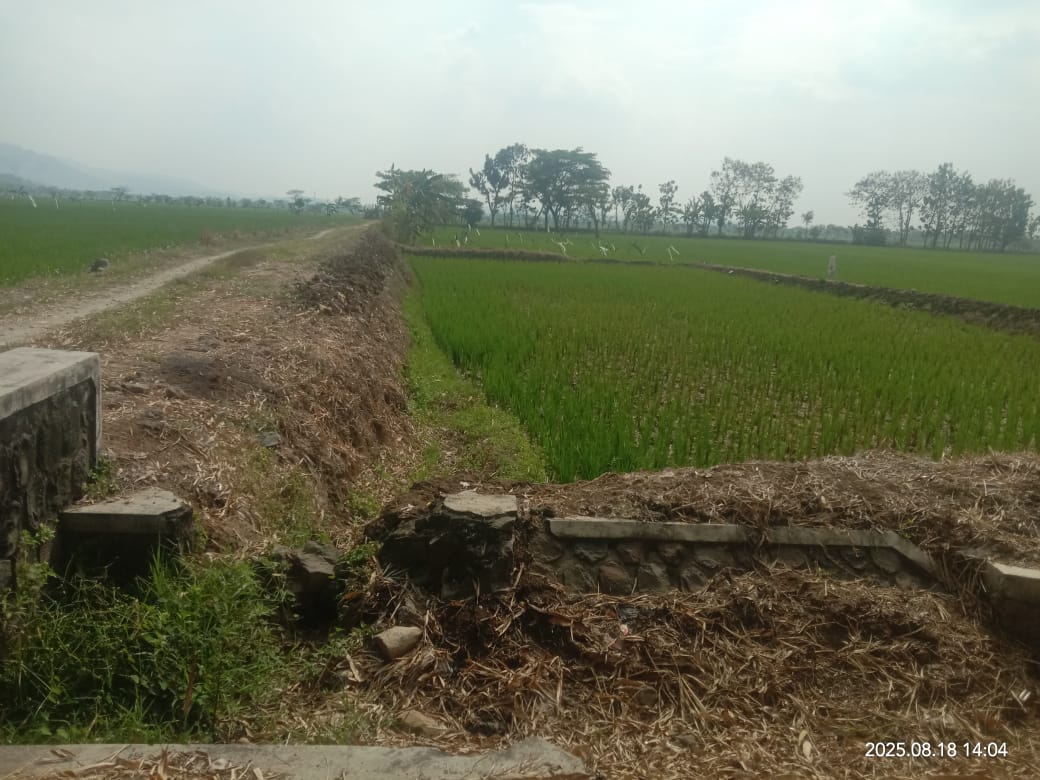 Proyek irigasi fiktif di Desa Tegalsari, Kecamatan Weru, Sukoharjo.