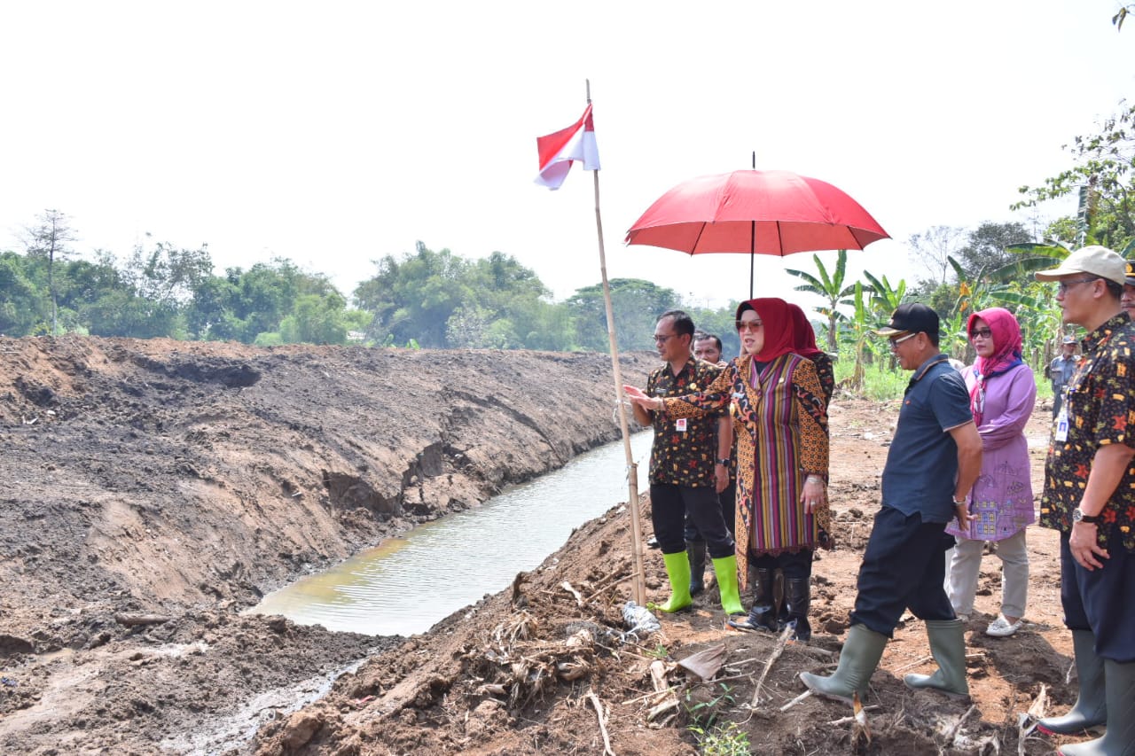 Bupati Sukoharjo Etik Suryani tinjau lahan di tepian Sungai Bengawan Solo, tepatnya di Desa Pojok, Kecamatan Tawangsari, Sukoharjo, belum lama ini.