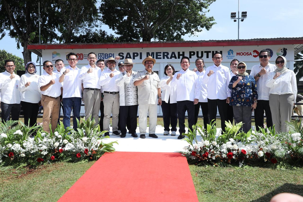 BRI dukung Program Sapi Merah Putih untuk kurangi impor susu, perkuat peternakan rakyat, dan dorong swasembada pangan nasional.