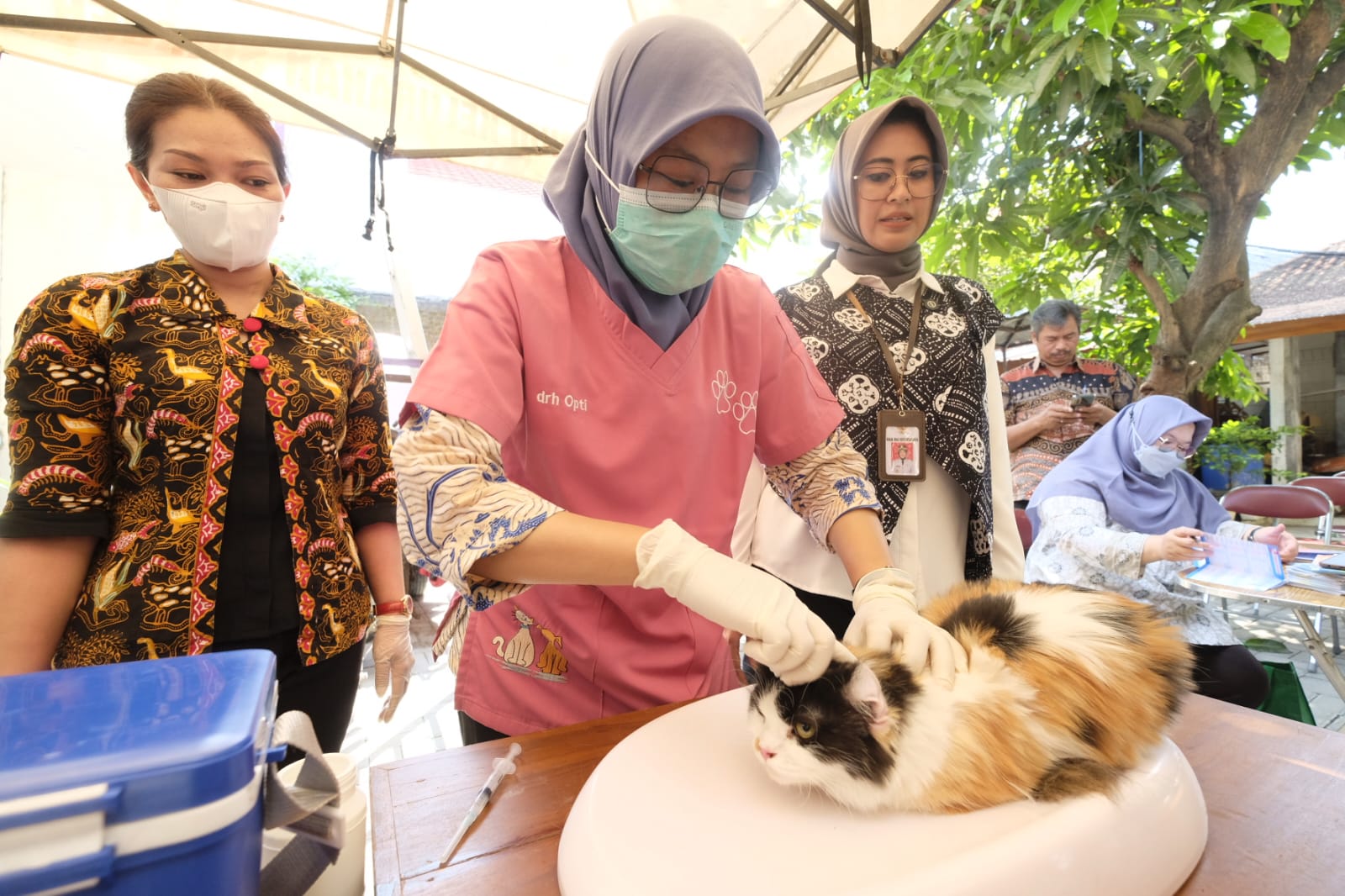 Wakil Walikota Solo Astrid Widayani (kanan) pantau vaksinasi kucing.
