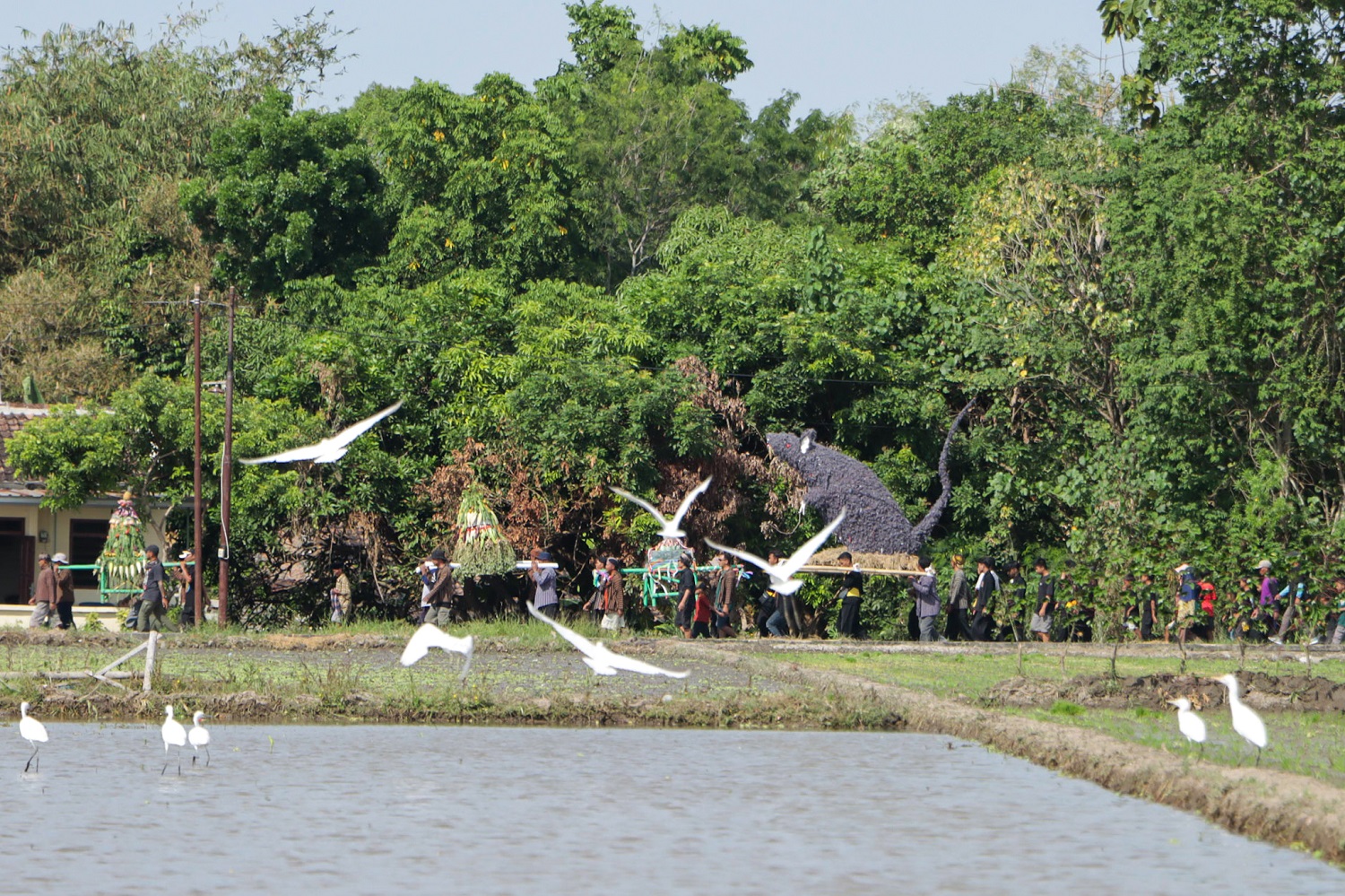 Peserta Festival Mbok Sri Mulih di Desa Delanggu, Kecamatan Delanggu mengarak gunungan hasil bumi dan ogoh-ogoh tikus, Minggu (7/9/2025). (M.Ihsan/Radar Solo)