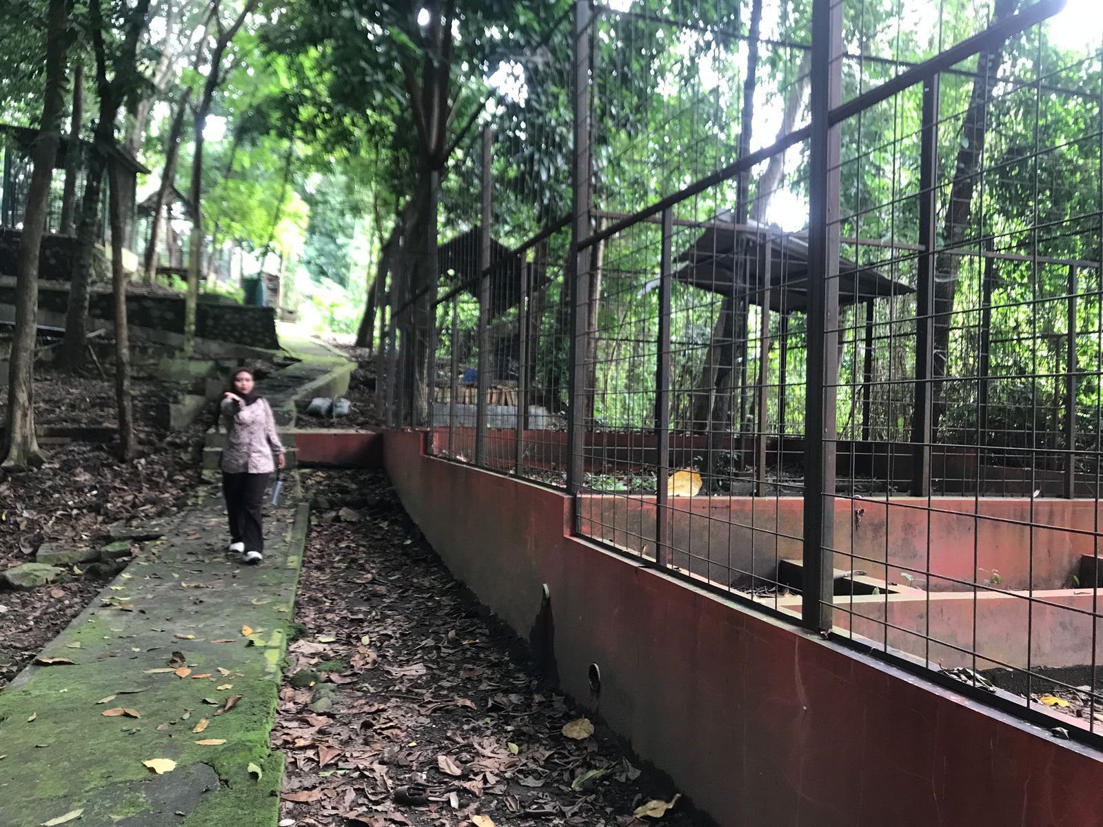 Hutan Kridanggo Boyolali yang terkesan angker dan kurang terawat.