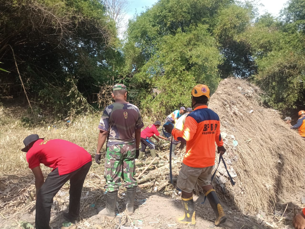 Evakuasi rumpun bambu di Dukuh Sigran, RW 6, Desa Geneng, Kecamatan Gatak oleh personel gabungan, Minggu (7/9/2025).
