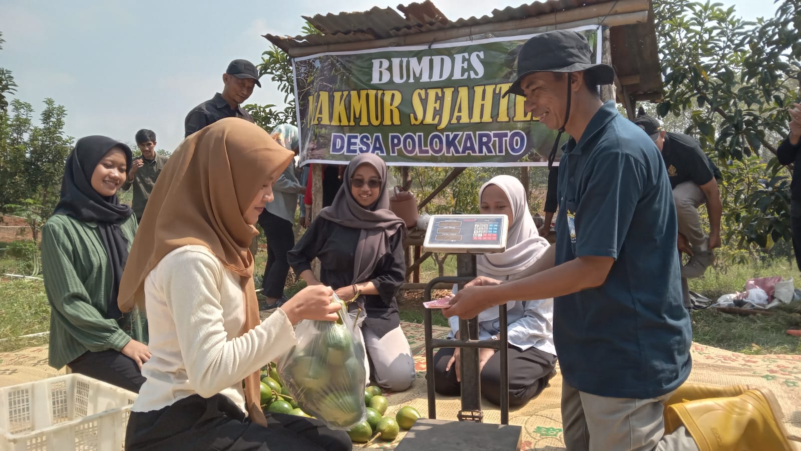 Sejumlah wisatawan menimbang alpukat yang baru saja dipetik dari agrowisata Kebun Alpukat Polokarto, Sukoharjo. (Iwan Kawul/Radar Solo)