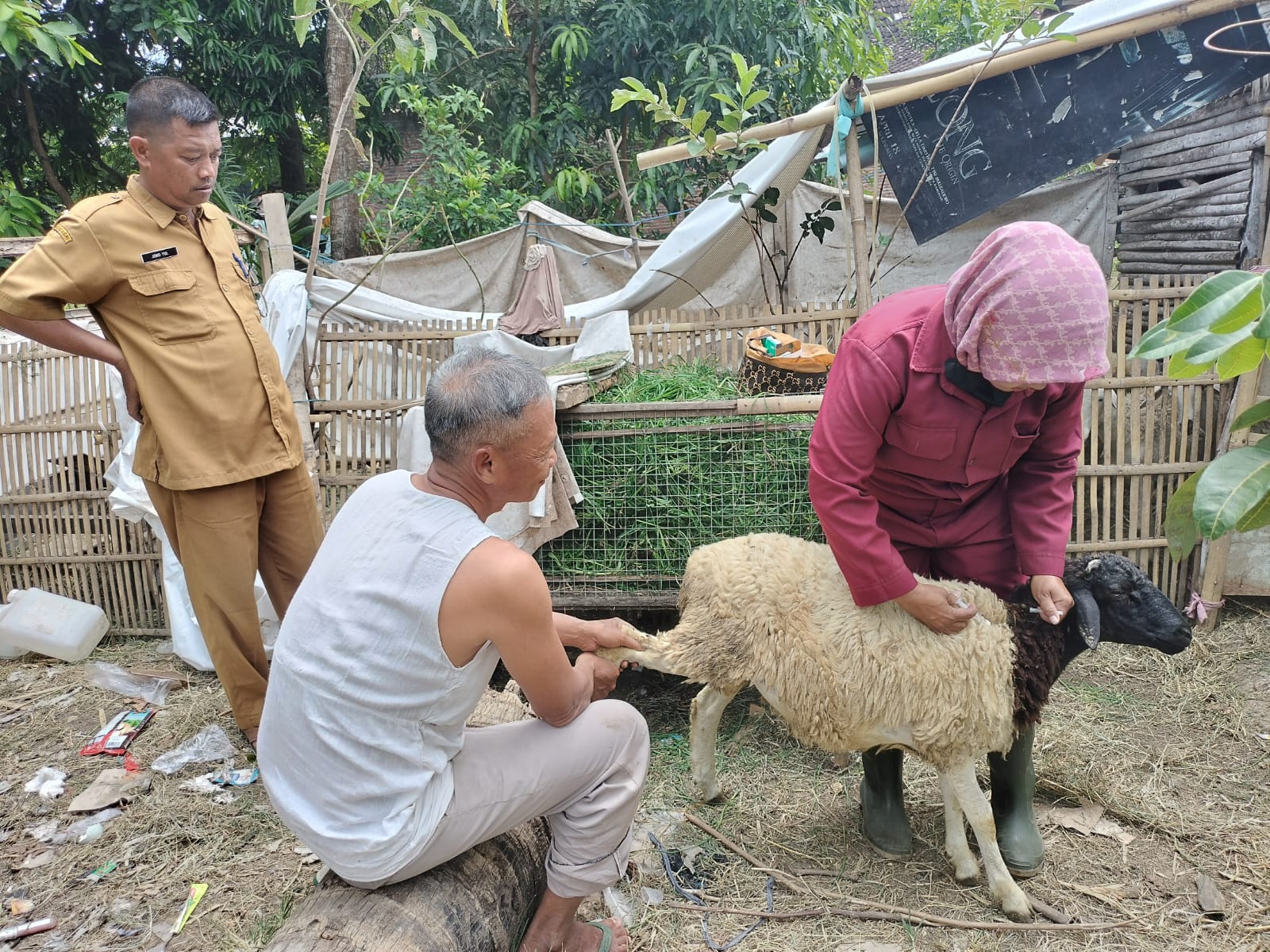 Vaksinasi PMK menyasar ternak kambing di Kabupaten Sukoharjo, belum lama ini.