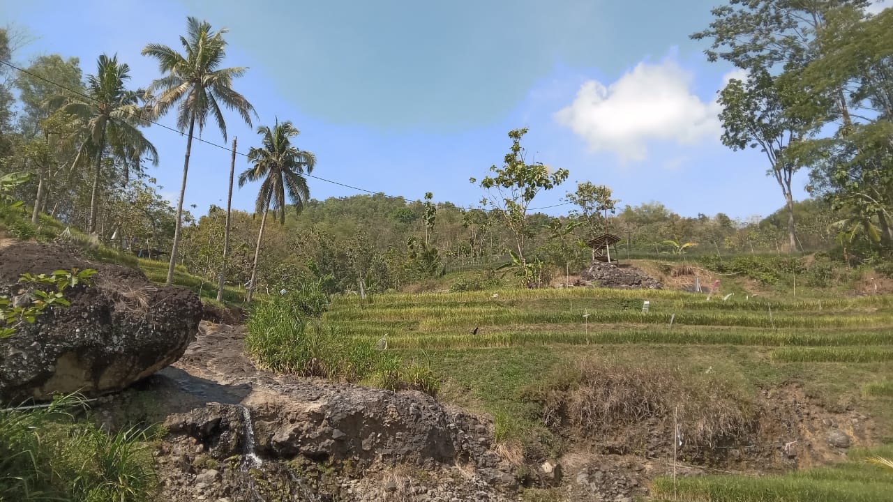Panorama alam sawah terasering di Dusun Tawing, Desa Sanggang, Kecamatan Bulu, Sukoharjo yang disebut mirip dengan Ubud, Bali. (Iwan Kawul/Radar Solo)