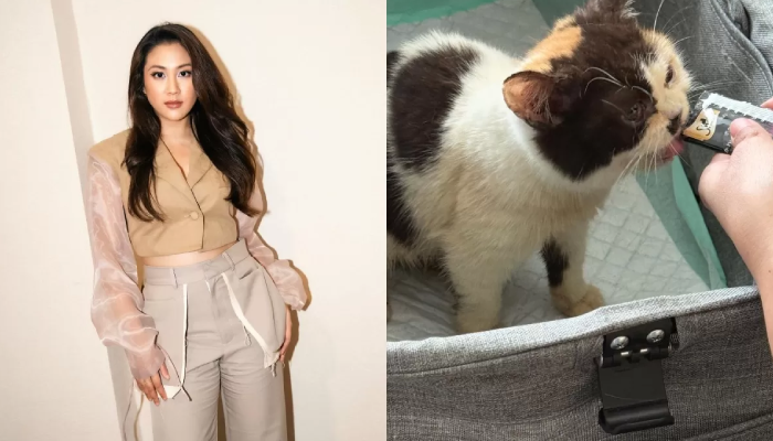 Sherina saat selamatkan kucing Uya Kuya yang dijarah.