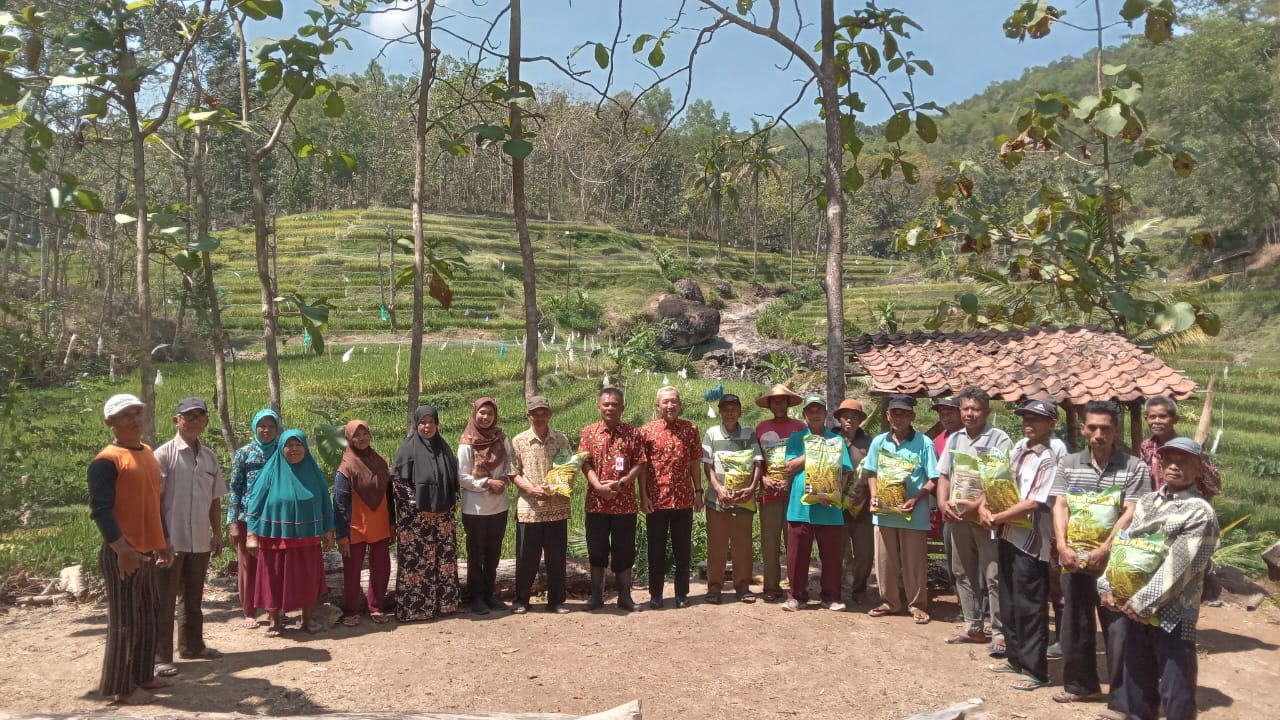 Sawah terasering di Desa Sanggang, Sukoharjo disiapkan jadi agro wisata edukatif dengan konsep kuliner, petik buah, dan edukasi tani.