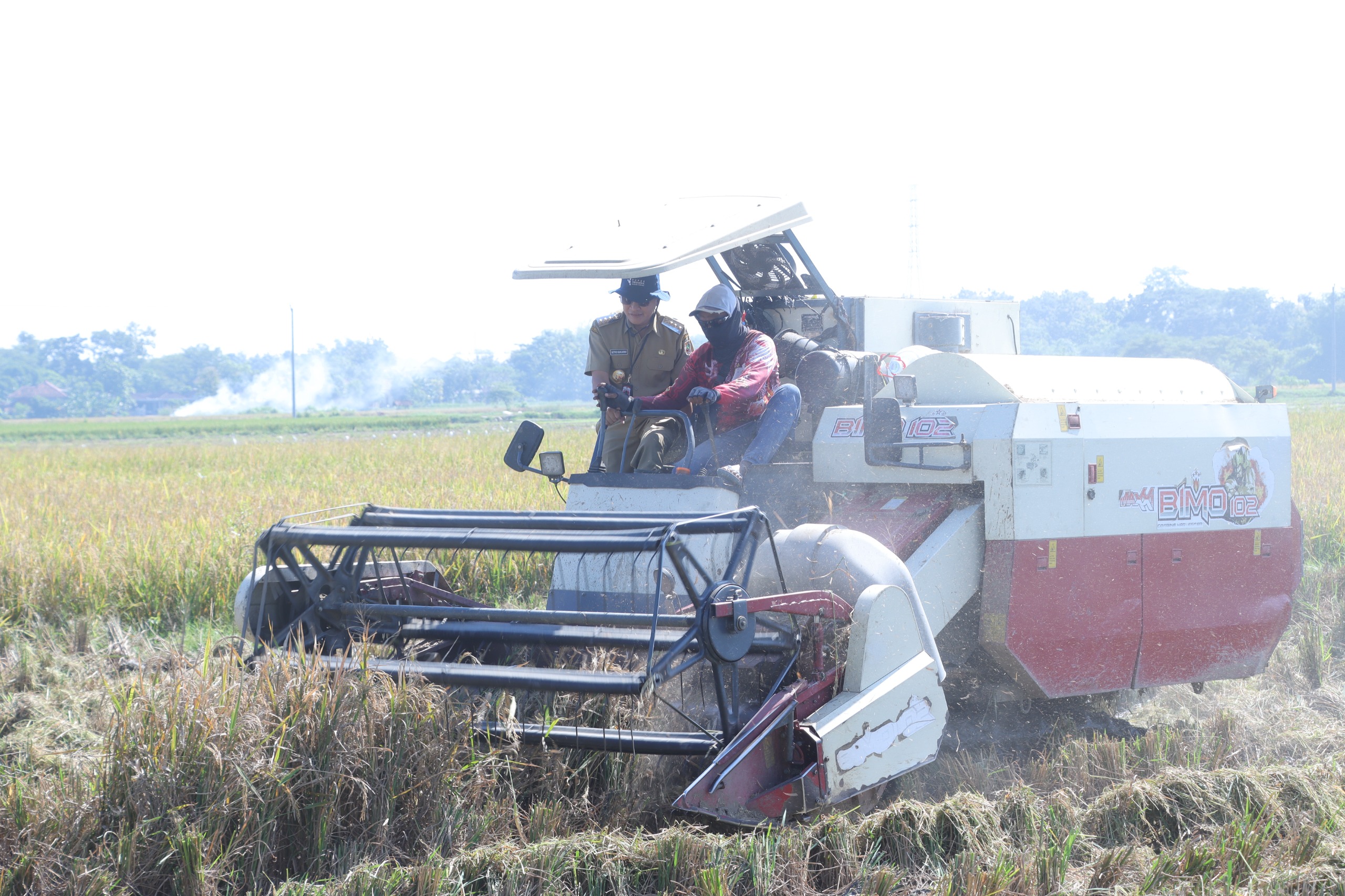 Bupati Wonogiri Setyo Sukarno ikut dalam panen padi bari-baru ini. Hasil panen yang memuaskan turut mendongkrak kesejahteraan petani.