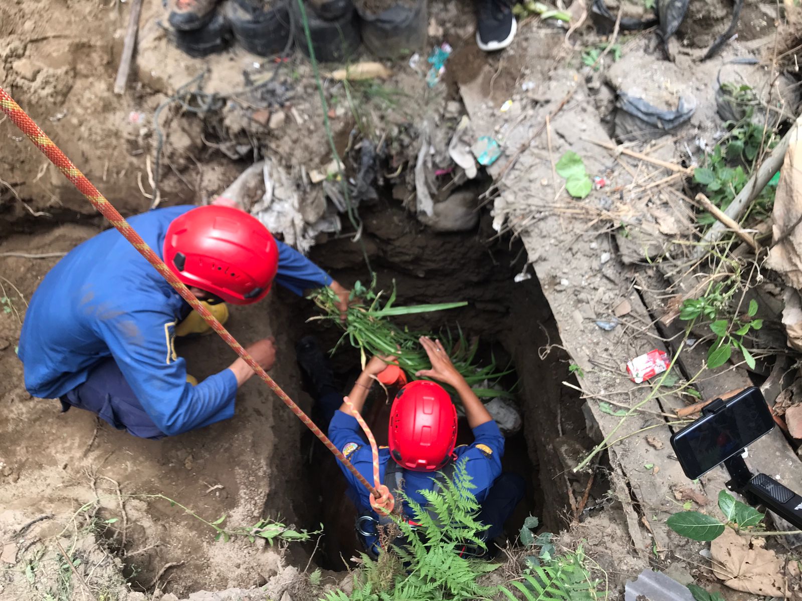 Sapi berat lebih dari setengah ton terperosok ke septic tank di Boyolali, evakuasi BPBD dan Damkar terhambat hingga siang.