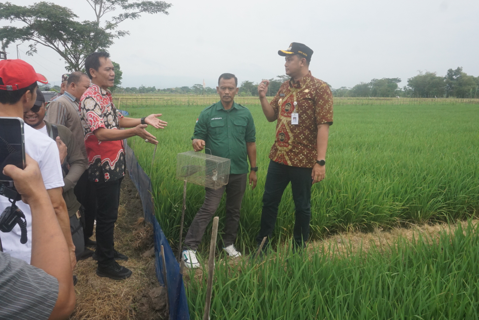 Bupati Klaten Hamenang Wajar Ismoyo saat meninjau lahan pertanian yang menggunakan sistem TBS di Desa Jurangjero, Kecamatan Karanganom, Klaten beberapa waktu lalu. (Angga Purenda/Radar Solo)