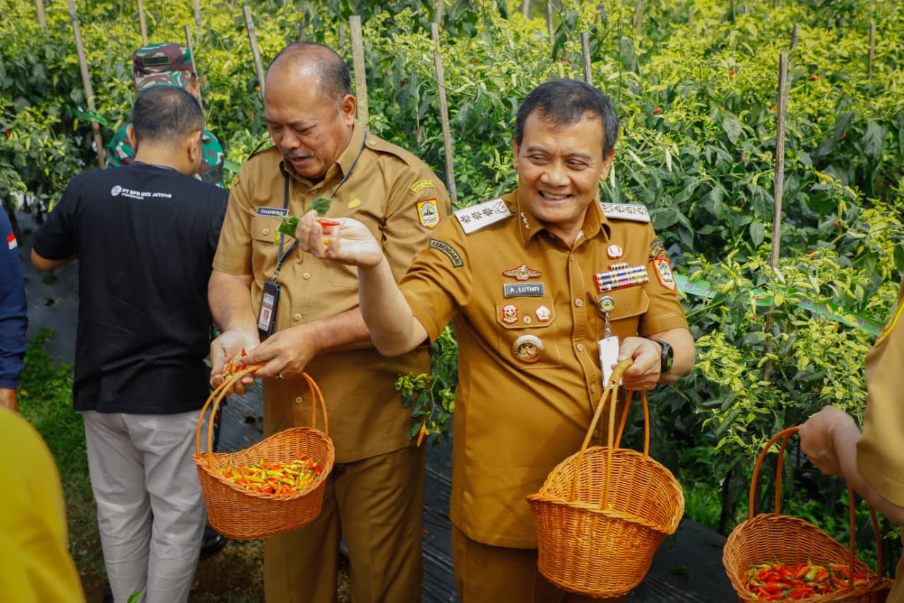 Pemprov Jateng dukung petani cabai dengan kredit murah dan CSR untuk antisipasi kelangkaan dan jaga harga tetap stabil.