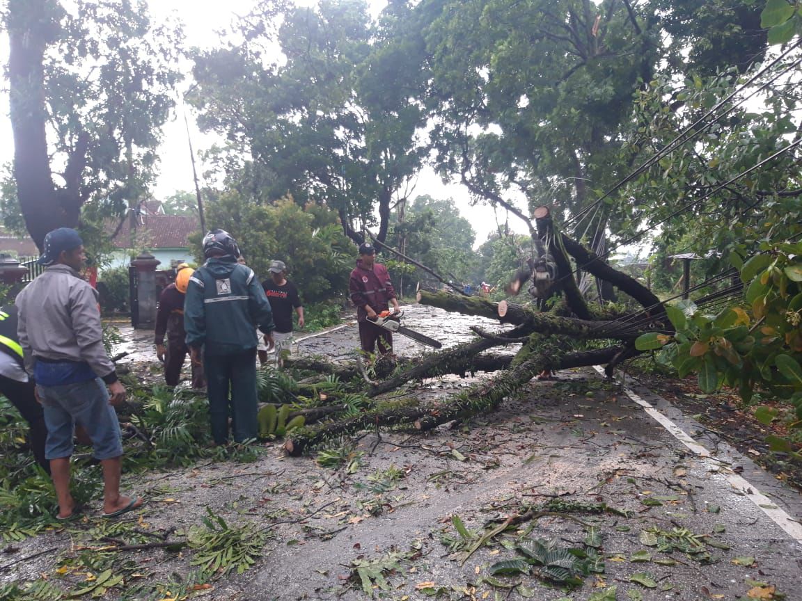 Petugas pangkas dahan pohon tumbang di Boyolali, Senin (29/9/2025).