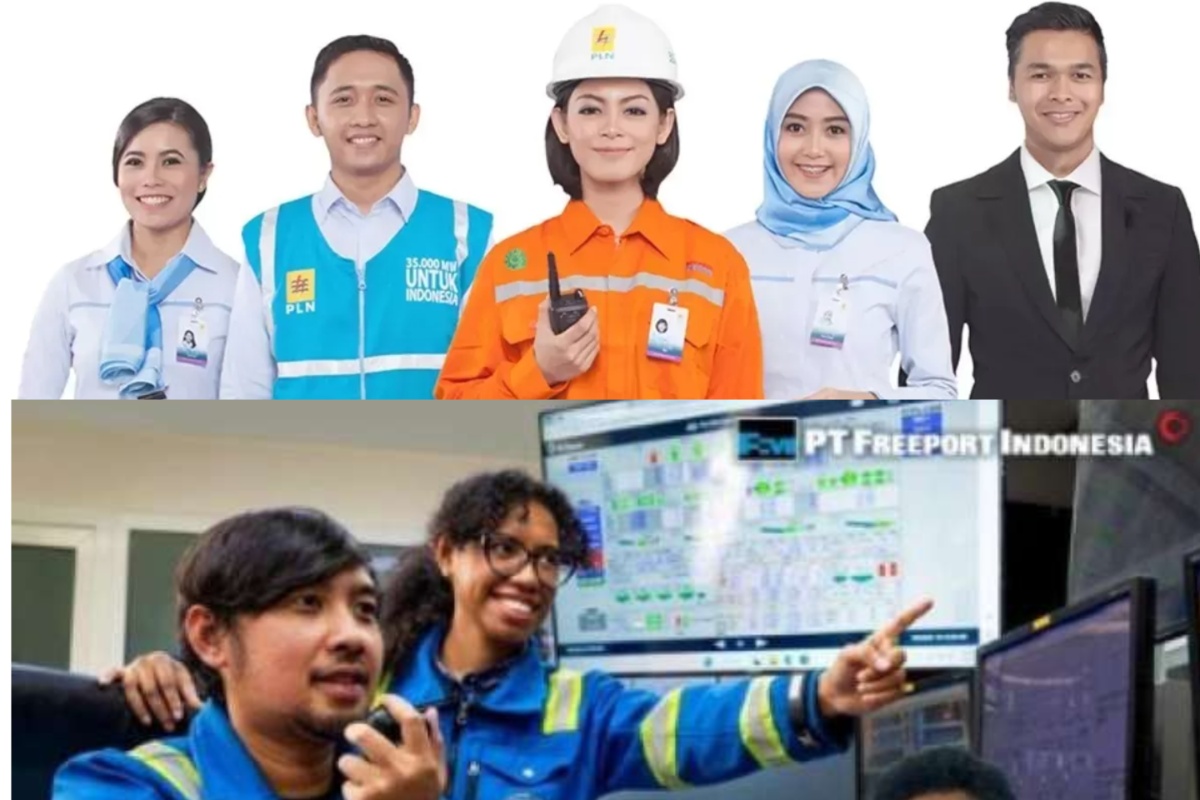 Lowongan kerja BUMN! Freeport, PLN, dan BTN buka lowongan kerja Oktober 2025. Simak syarat, posisi, dan cara daftar resmi di sini.