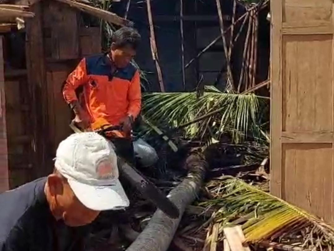 Penanganan pohon tumbang di wilayah Kecamatan Batureto, Wonogiri.