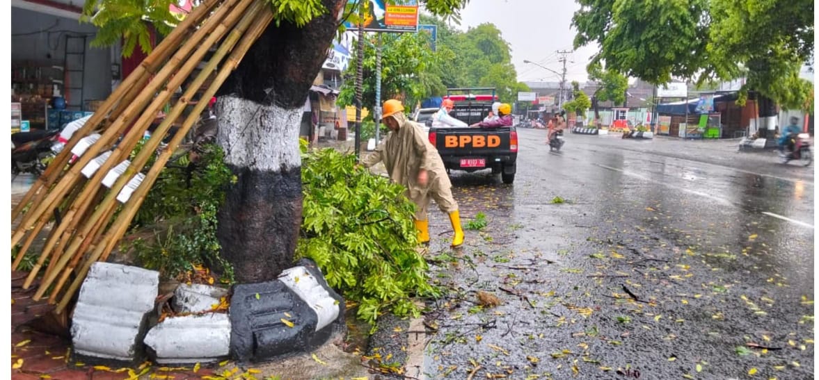 Tim BPBD Sragen bersihkan sisa pohon tumbang di Kota Sragen, Kamis (2/10/2025) sore. (Ahmad Khairudin/Radar Solo)