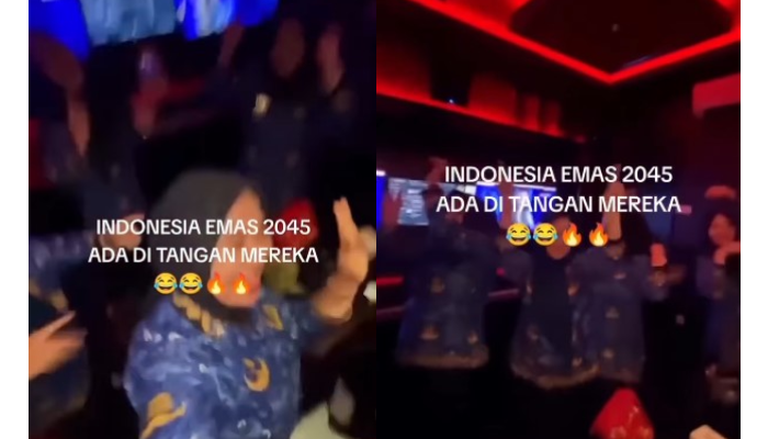 Potongan video sekelompok perempuan berseragam Korpri asyik party di karaoke.