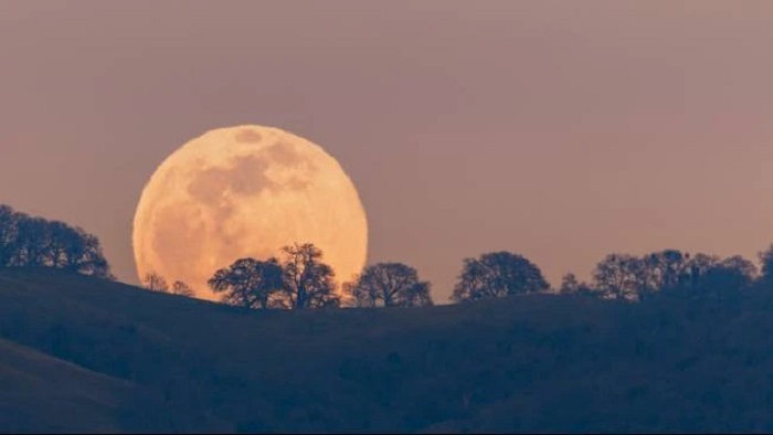 Masih bisa lihat Supermoon 8 Oktober 2025 malam ini! Bulan masih dekat ke Bumi, disertai hujan meteor Draconid.