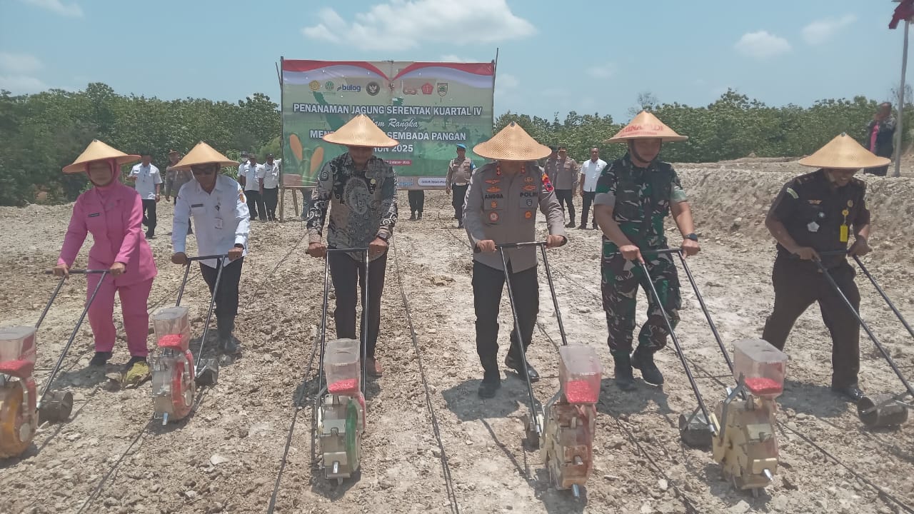 Penanaman jagung serentak kuartal IV 2025 di Desa Mertan, Kecamatan Bendosari, Rabu (8/10).