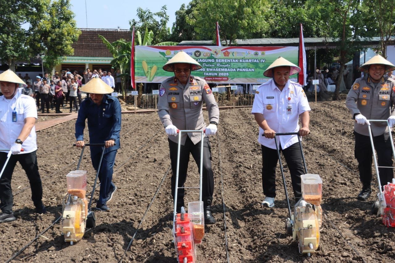 Kegiatan tanam jagung serentak di Pilangrejo, Desa Puro, Kecamatan Karangmalang, Sragen, Rabu (8/10/2025). (Ahmad Khairudin/Radar Solo)