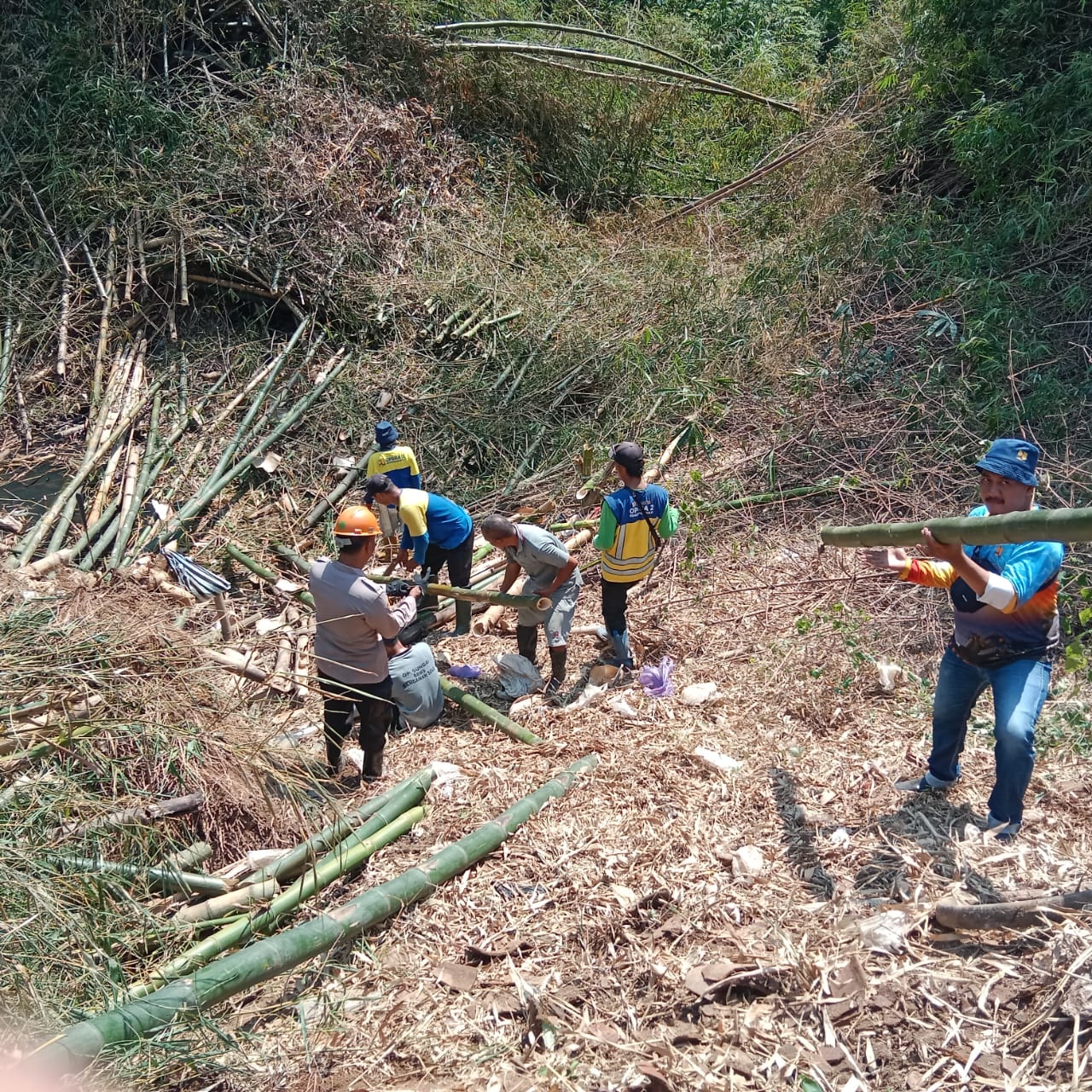BPBD Sukoharjo melakukan aksi bersih-bersih sungai dari rumpun bambu di Kecamatan Weru, Jumat (10/10).  &nbsp;