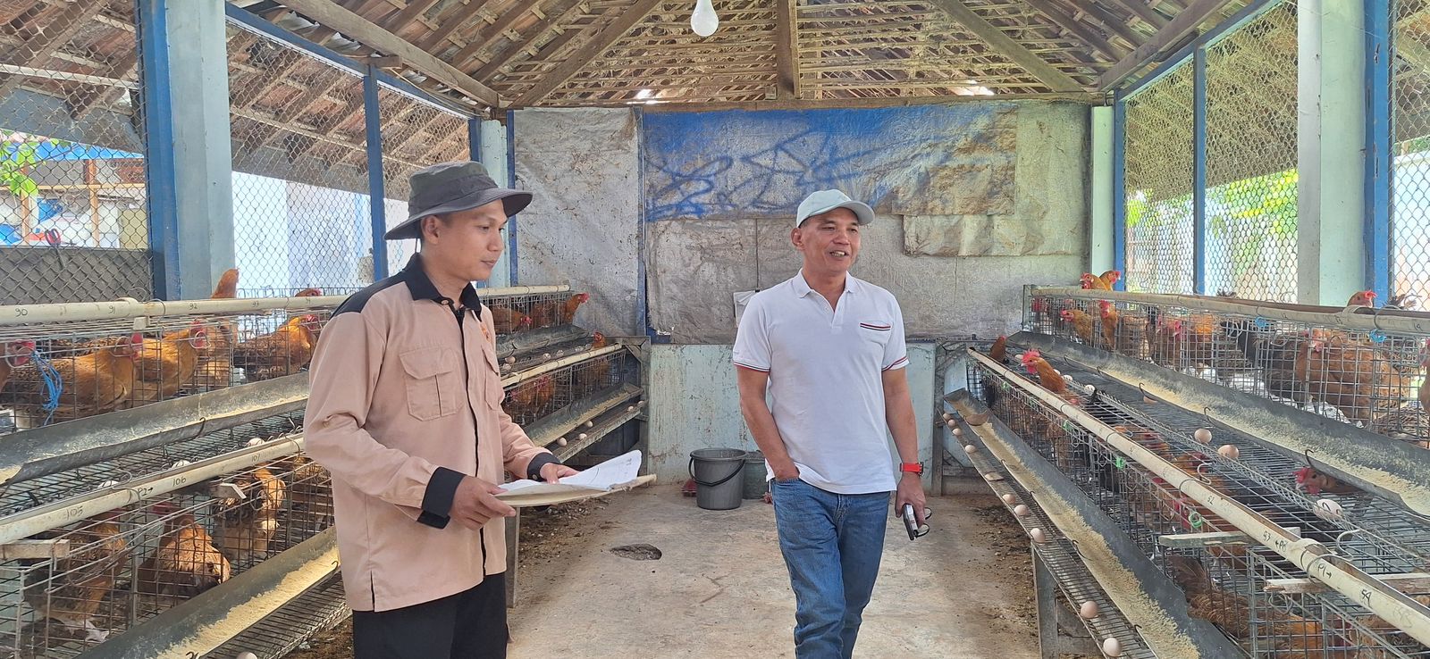 Ketua DPRD Jateng Sumanto kunjungi salah satu peternakan ayam di Kabupaten Karanganyar belum lama ini.