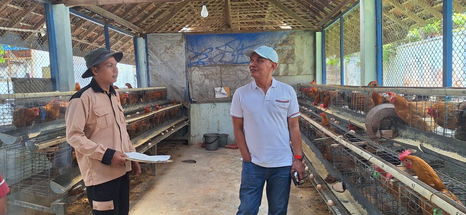 Sumanto optimistis usaha ternak ayam jika ditekuni dan berhasil bisa meningkatkan perekonomian masyarakat.