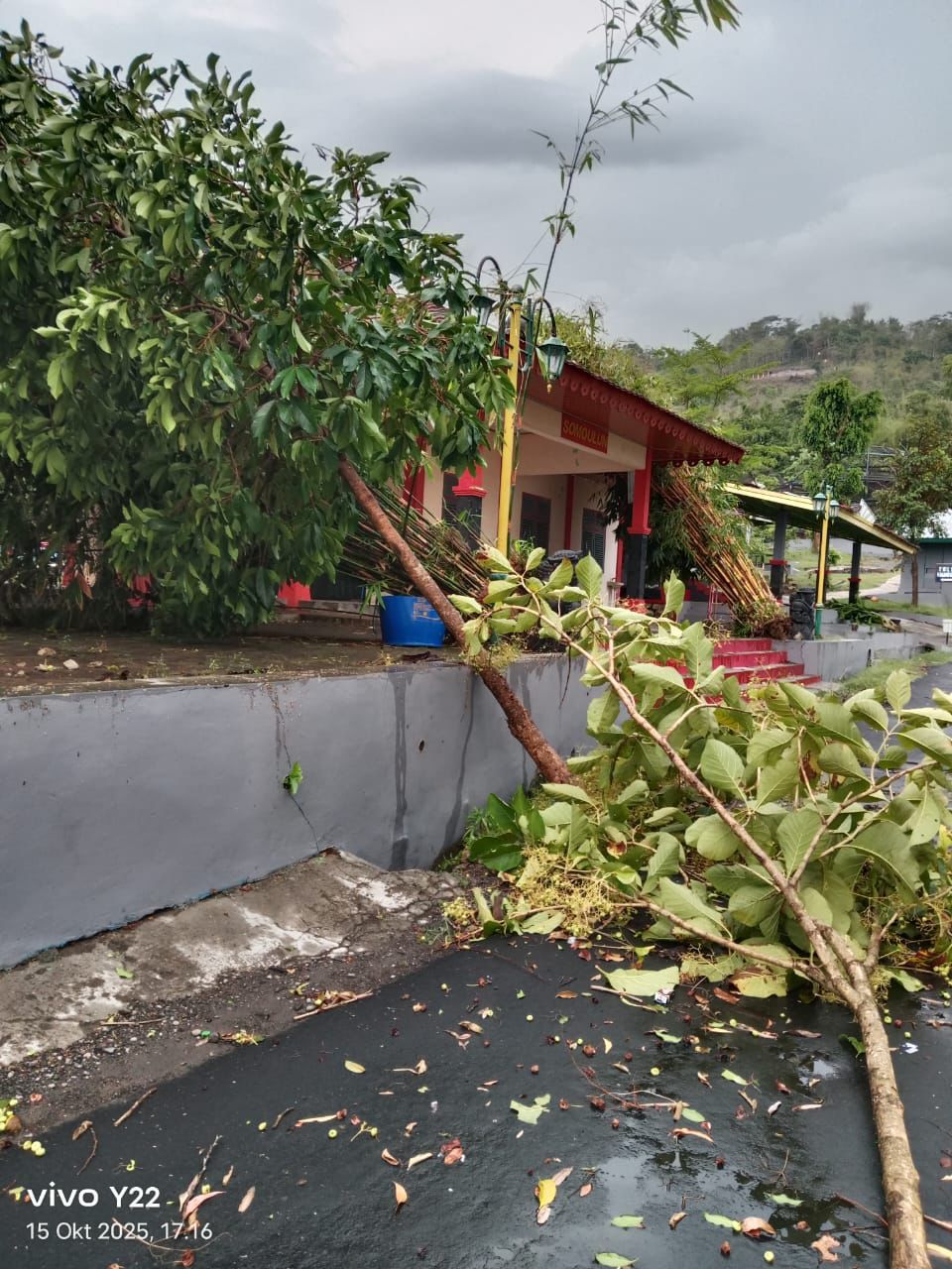 Dahan pohon patah timpa bangunan di kawasan objek wisata Waduk Gajah Mungkur, Rabu (15/10/2025).