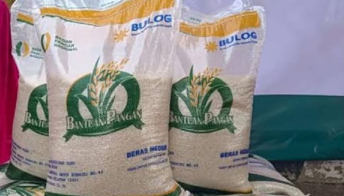 Ilustrasi bansos beras 10 kg.