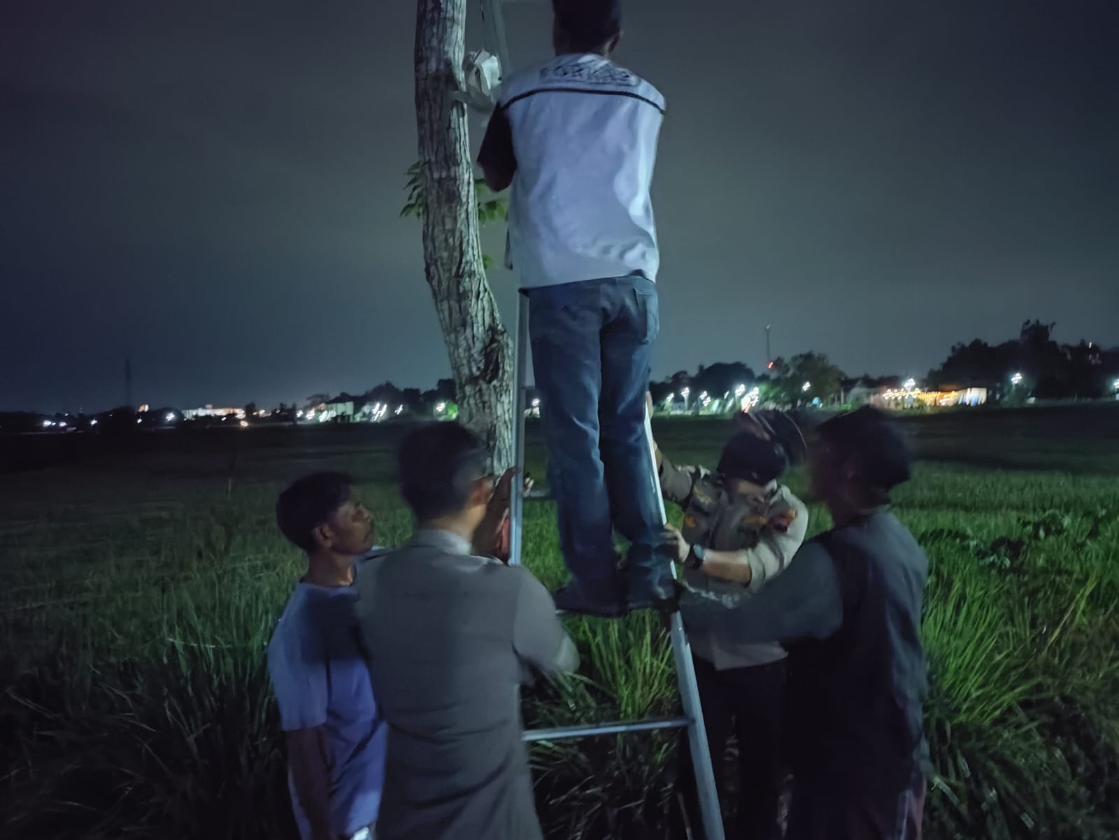 Tim gabungan mengevakuasi dua sarang tawon di Desa Cucukan, Kecamatan Prambanan, Klaten, Jumat (17/10/2025) malam. (Dokumentasi Polsek Prambanan)