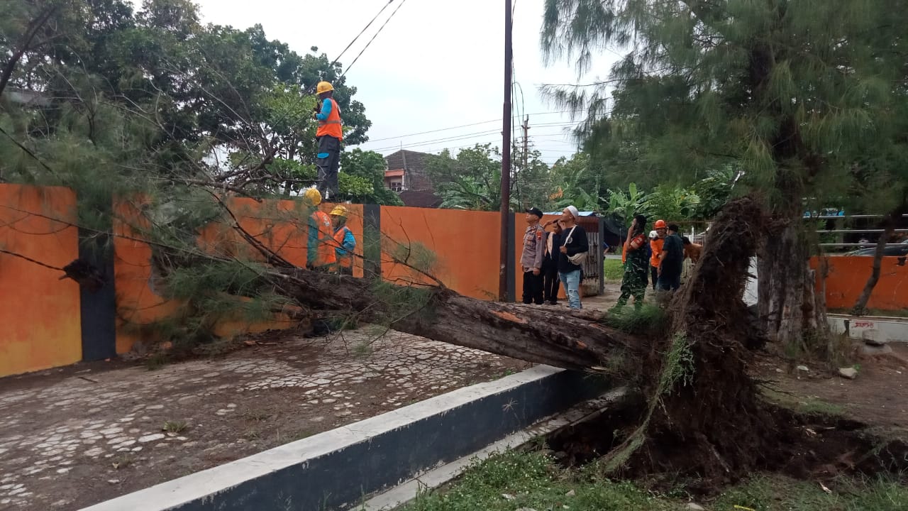 Pohon cemara ukuran besar ambruk menimpa pagar SMPN 1 Bendosari, kabel listrik, dan menutup akses jalan setelah diterjang angin kencang, Senin (20/10).