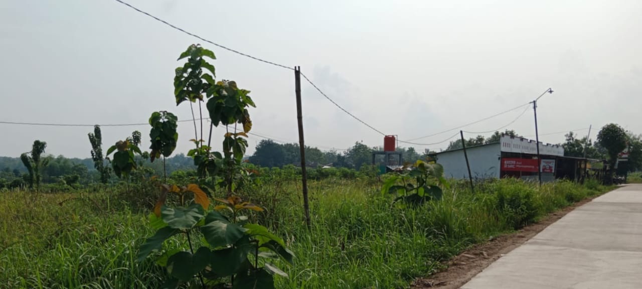 Calon lahan untuk gedung KDMP Desa Tepisari, Kecamatan Polokarto, Sukoharjo, Senin (20/10).