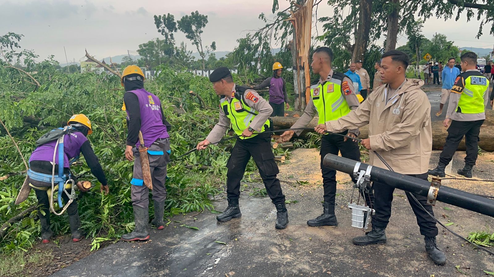 Jajaran Polres Sukoharjo membantu evakuasi pohon tumbang, Jumat sore (31/10).