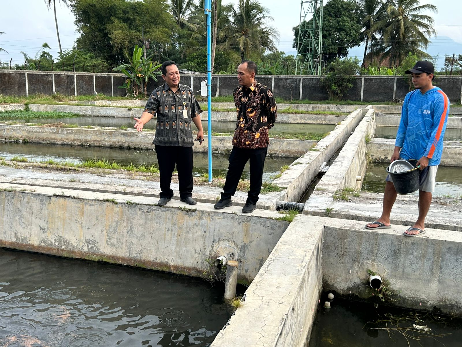 Kepala Dinas Kelautan dan Perikanan Jateng, Endi Faiz Effendi mengatakan, budidaya Ikan Beong cukup diminati masyarakat.